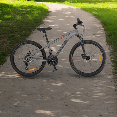 Велосипед Electra EBC'93 3i men's